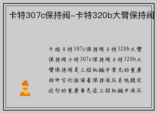 卡特307c保持阀-卡特320b大臂保持阀